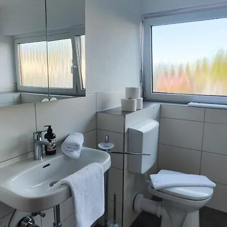 Storch Limburg * Hundsangen