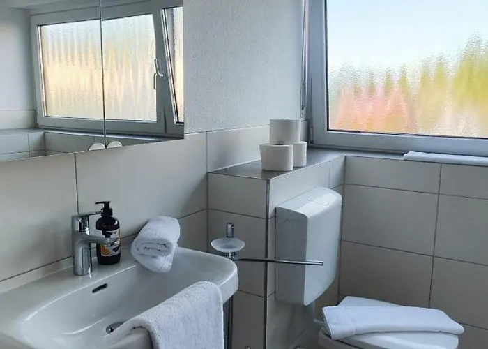 Storch Limburg * Hundsangen